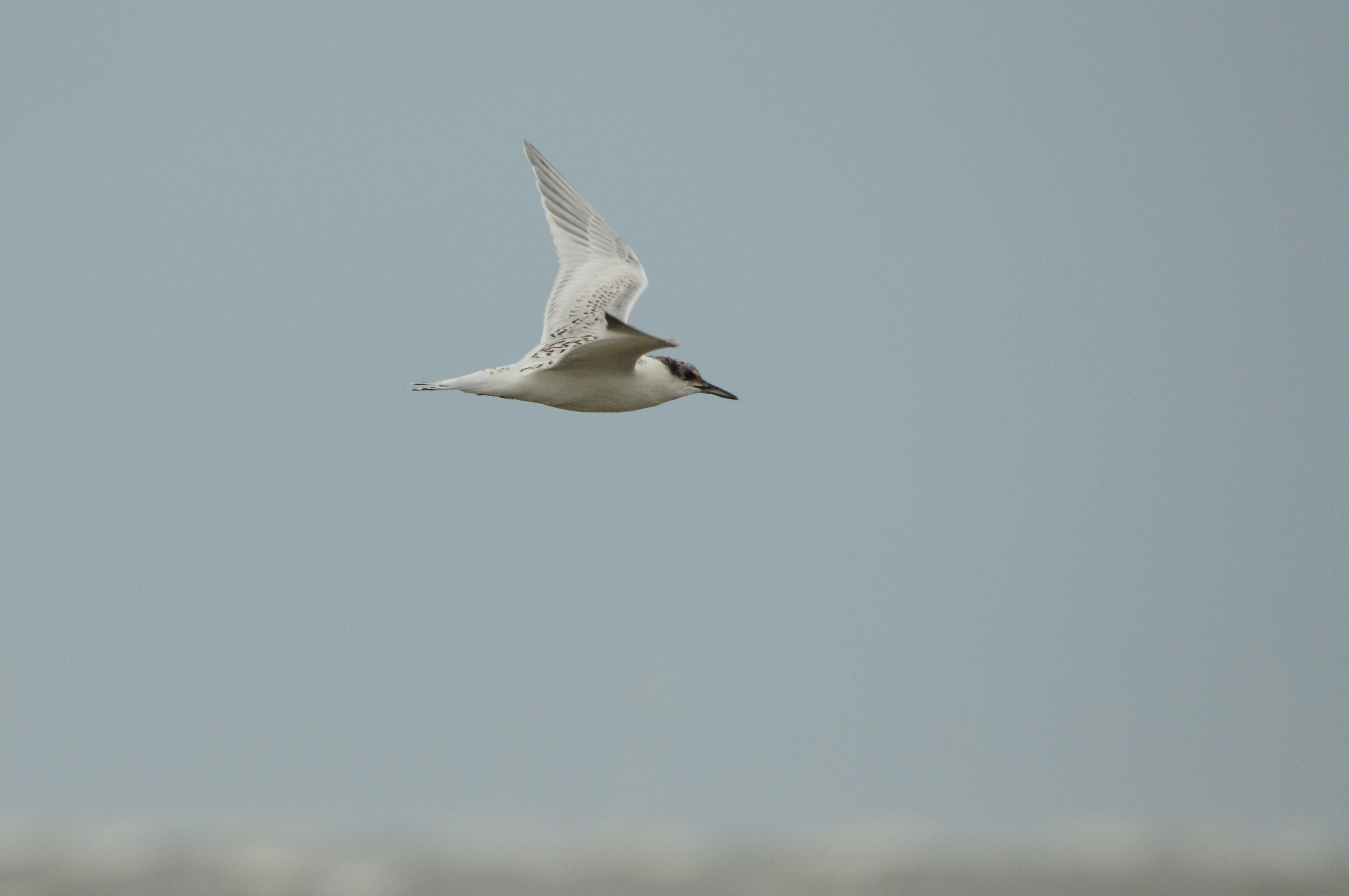 19.07.2021_Blavand_Denmark_104.JPG