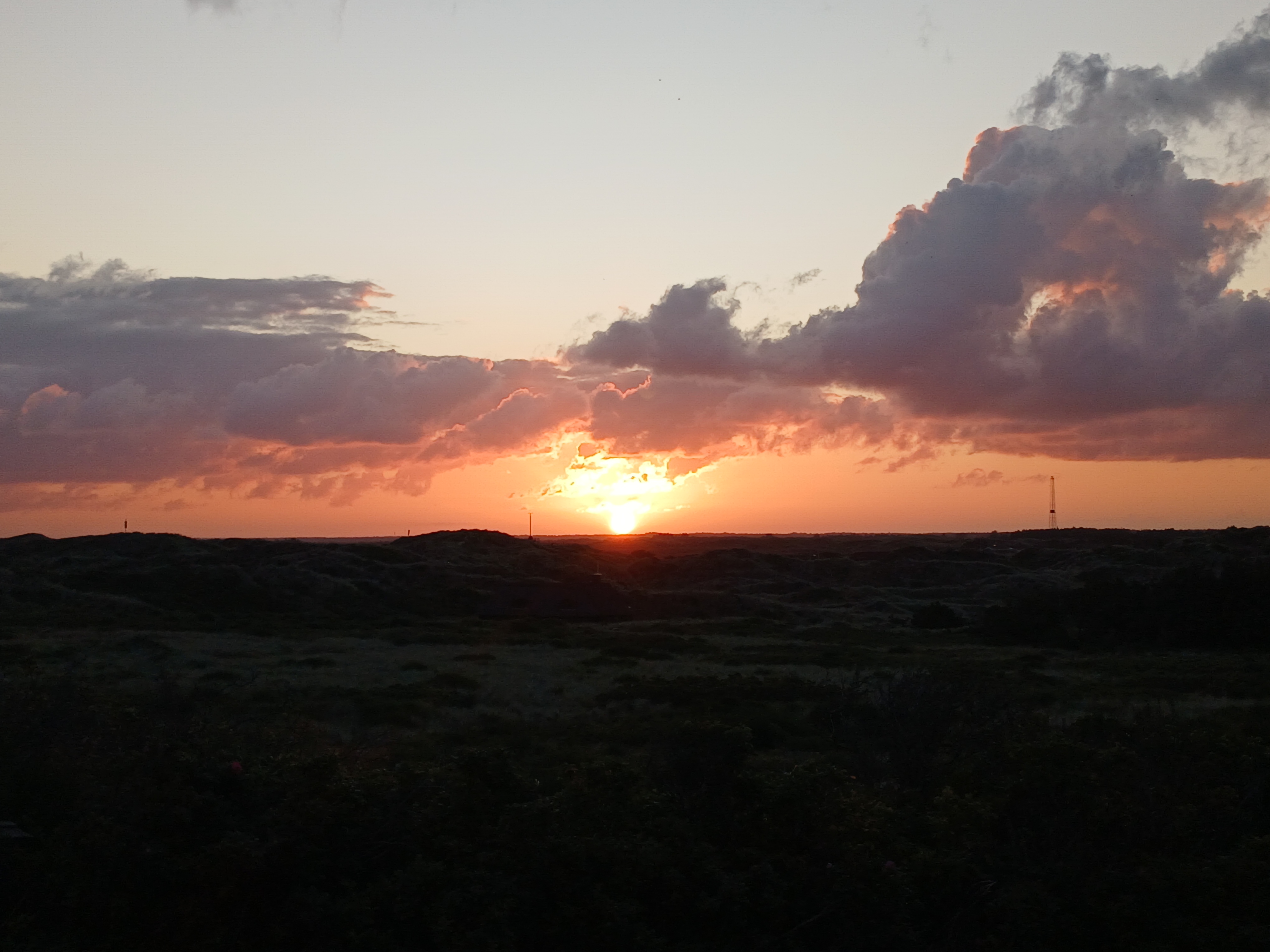 20250810_055643.jpg