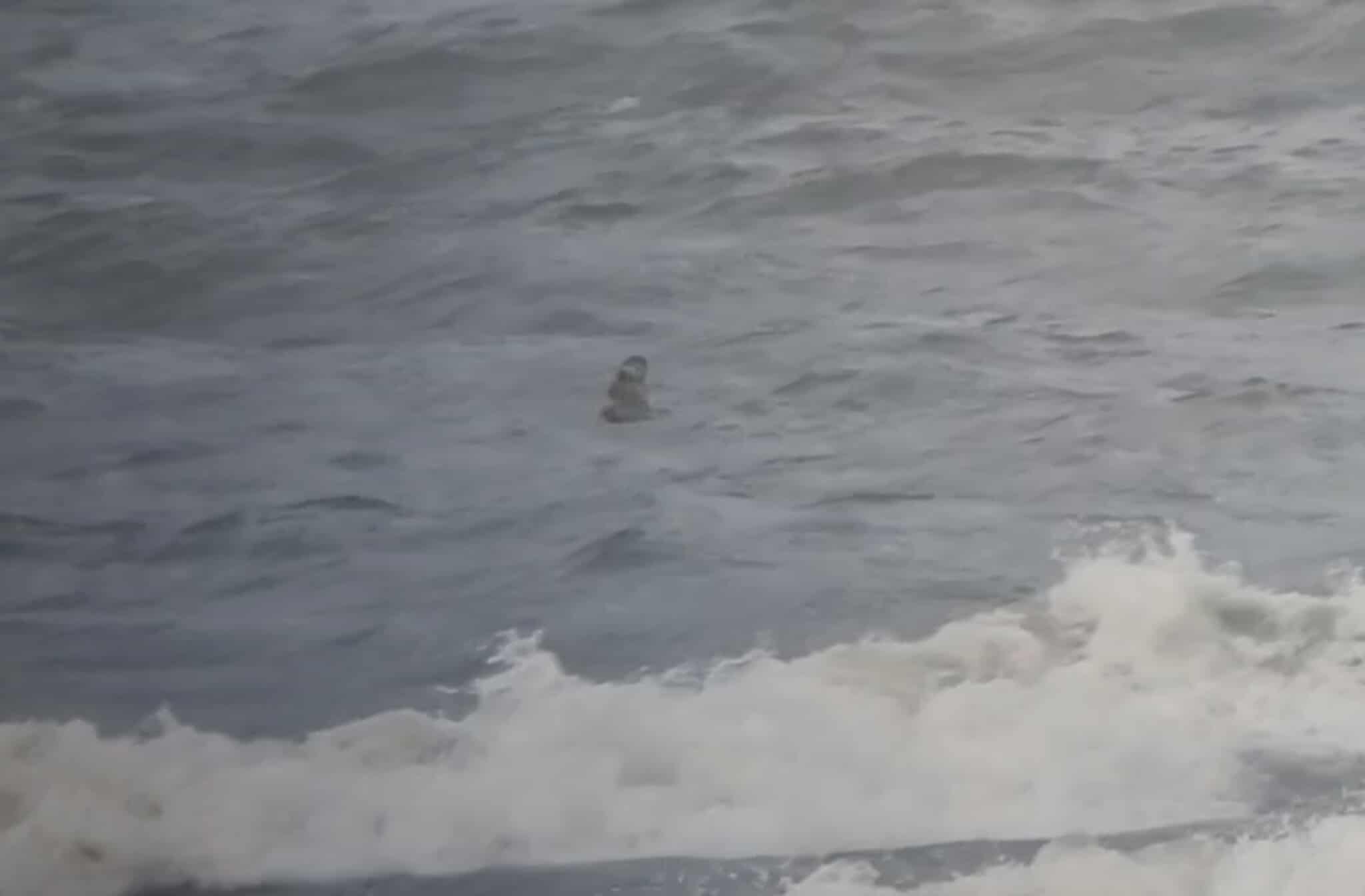 568183460 1576674166689399 823554826457222855 n