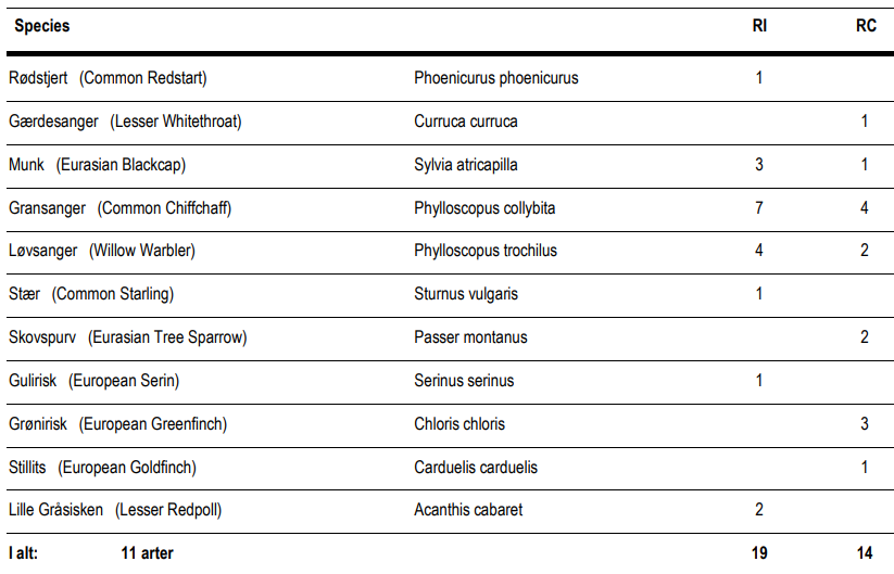 Birdringing_300425.png