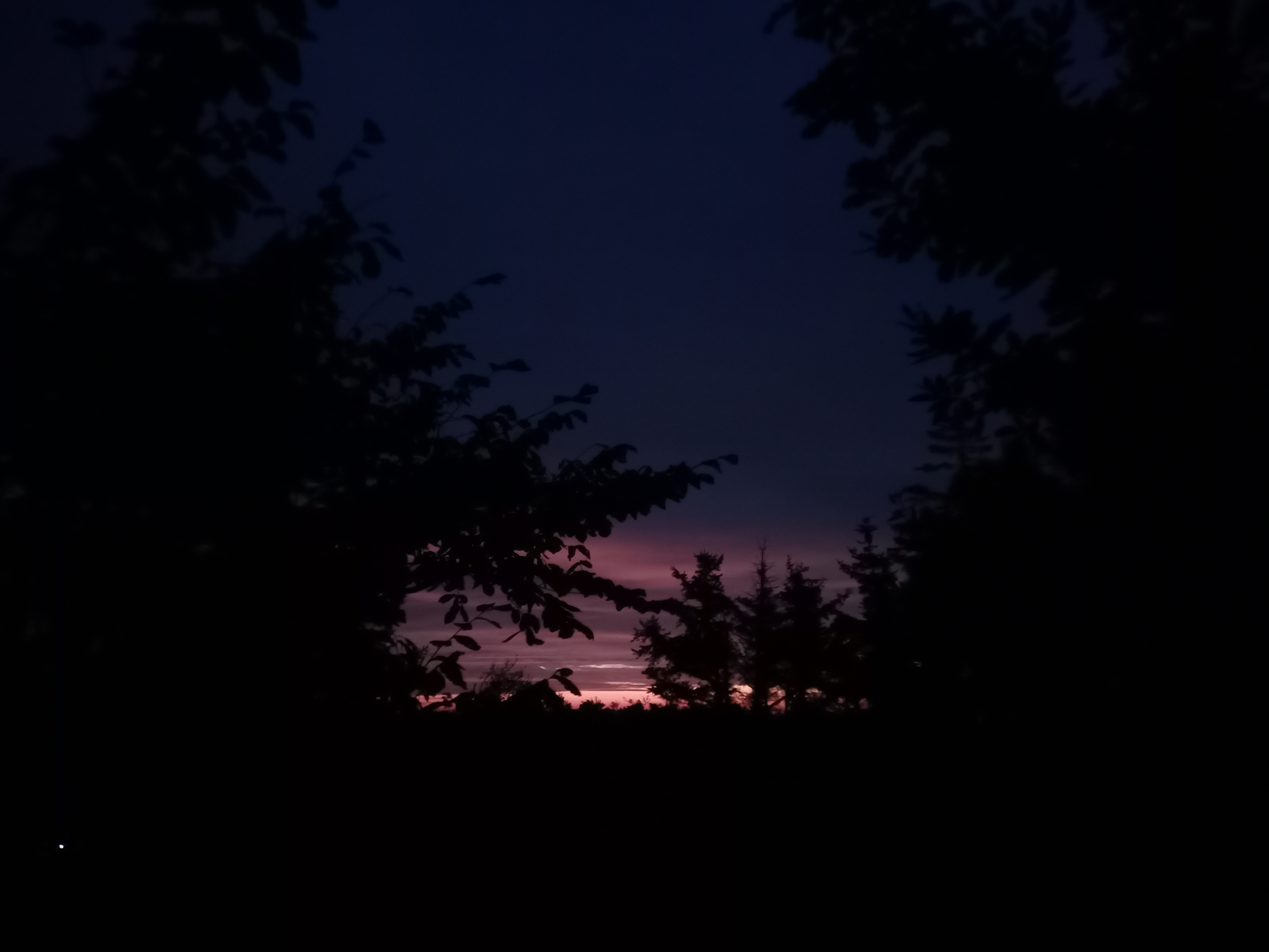 IMG 20250831 055018 862 1
