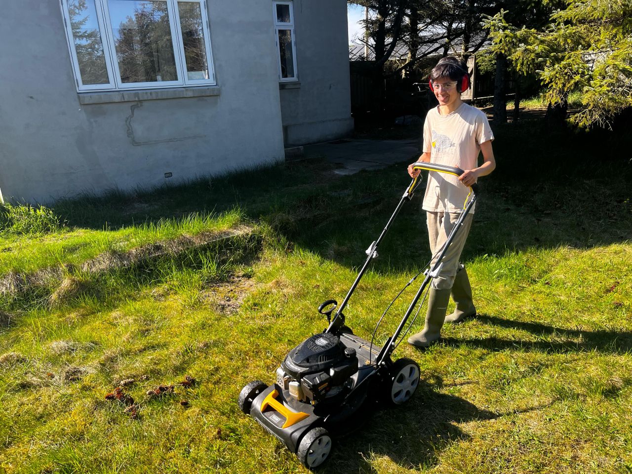 Lawn_mowing.jpg
