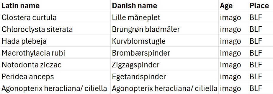 Moths_14-05-25.png