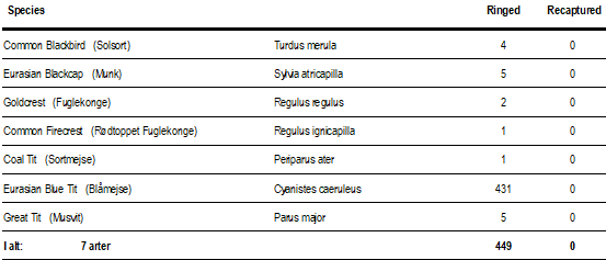 Skærmbillede 2025 10 30 231538