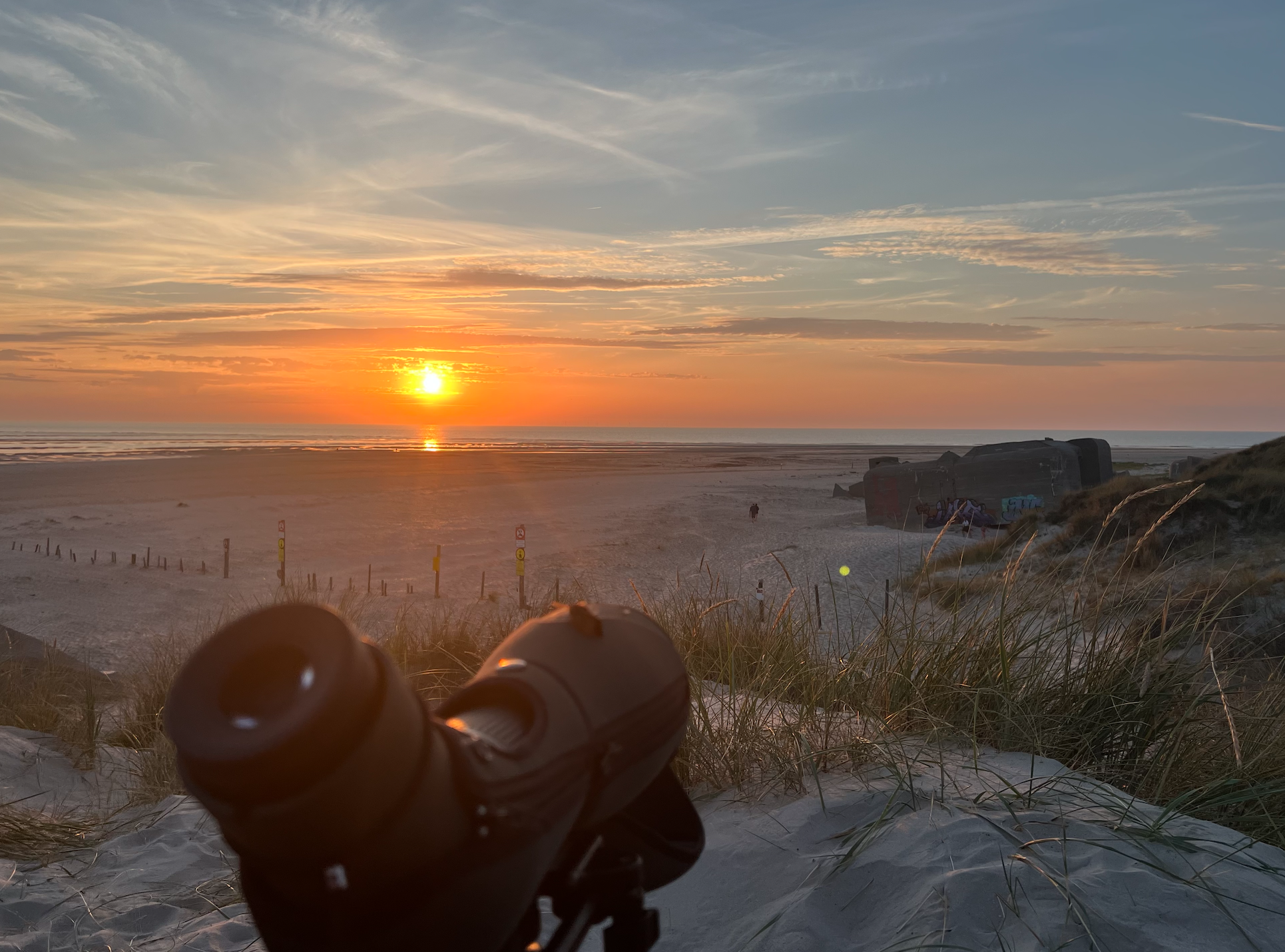 sunset14.08