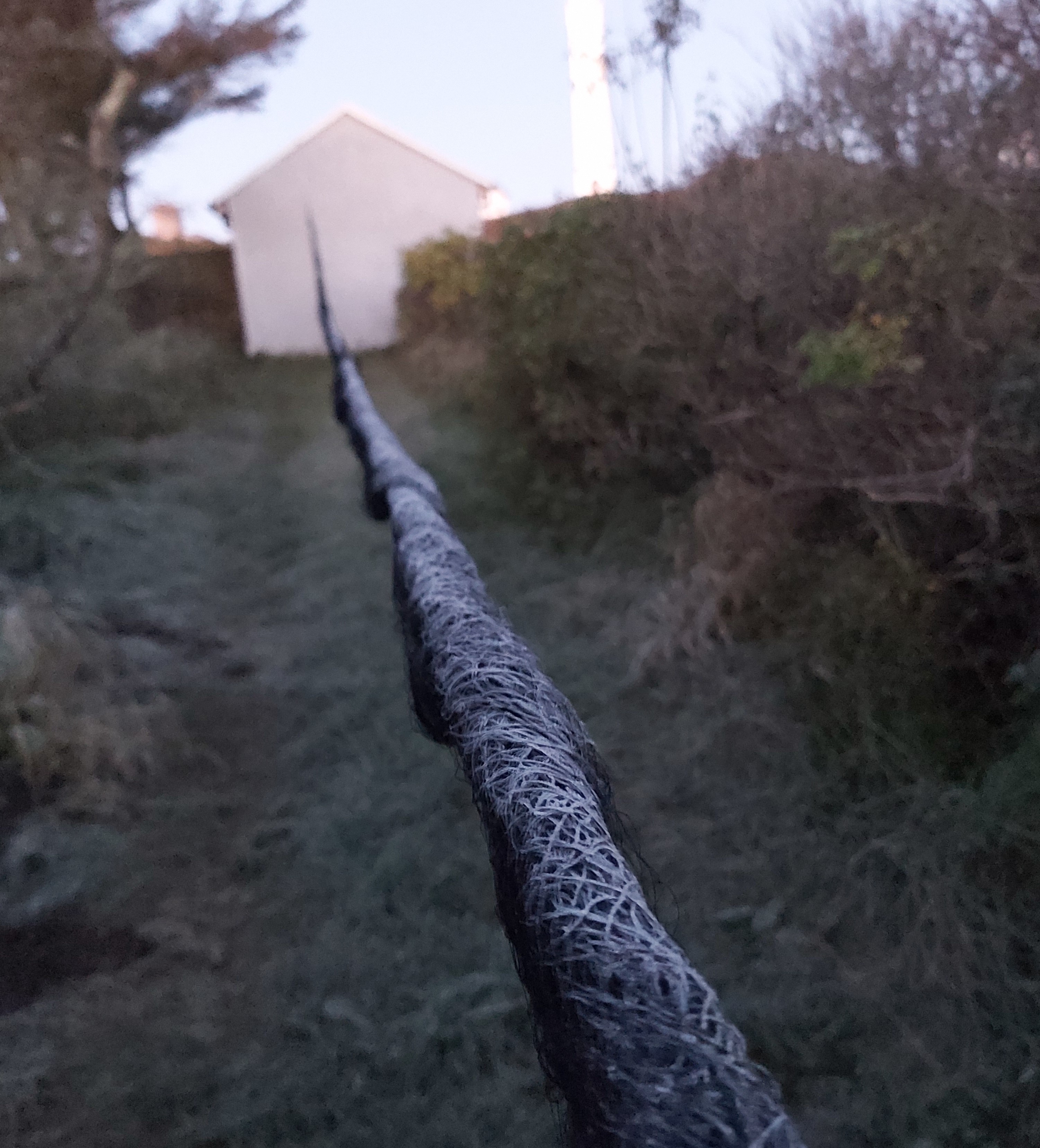 frozen net