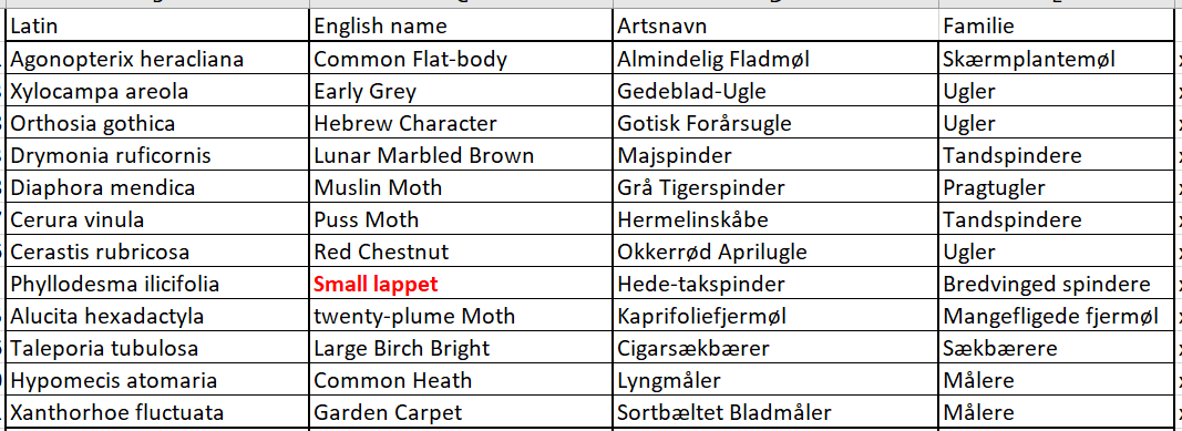 mothtable 01052026