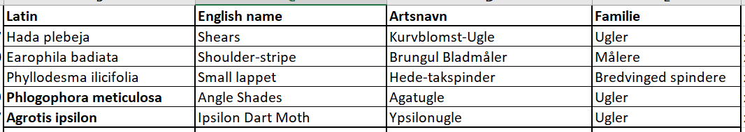 mothtable 04052026