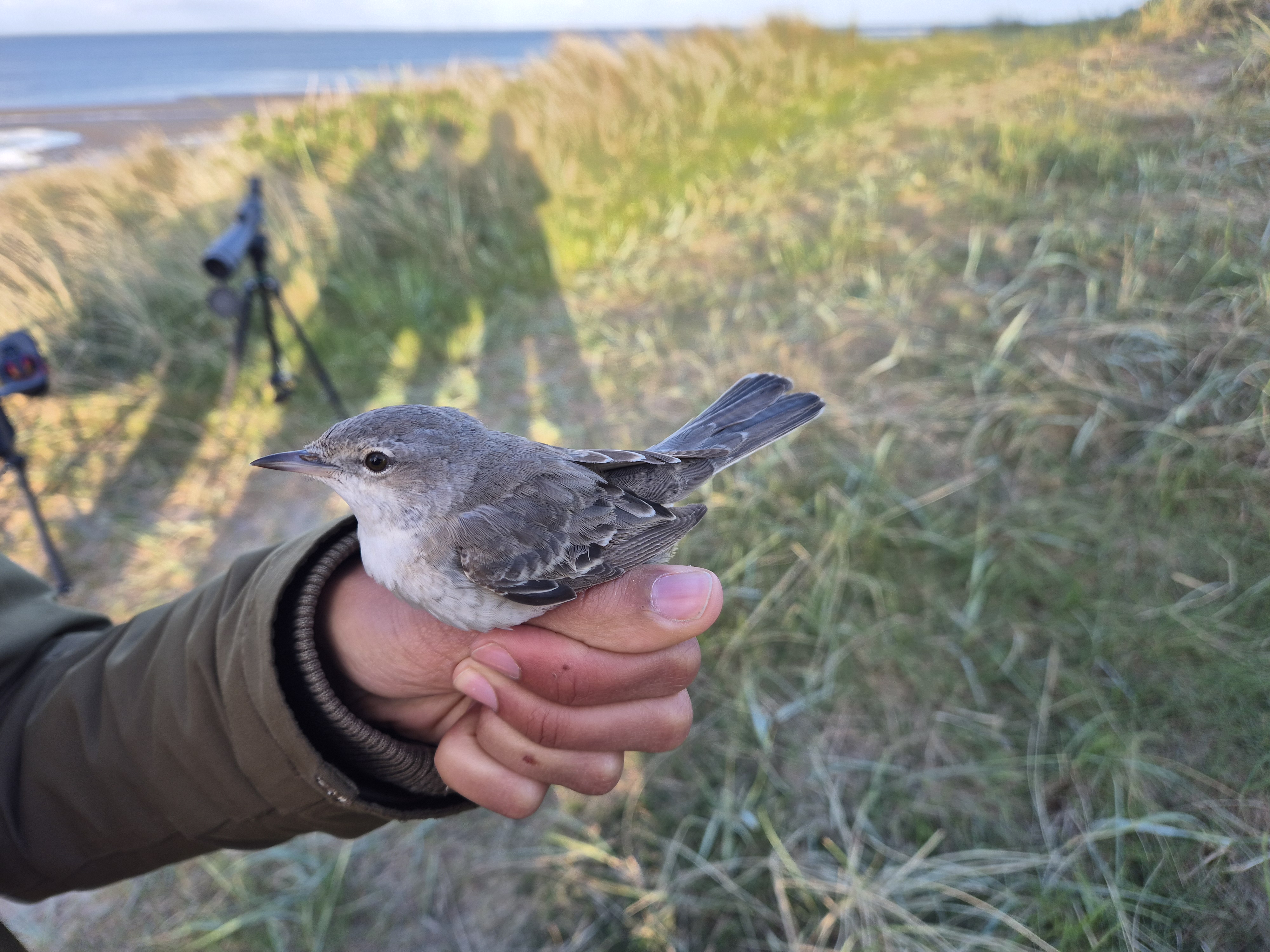 36929246 20250523061840 797524342