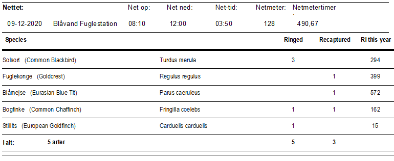 ringmaerket_fugle_d.09.12.2020.PNG