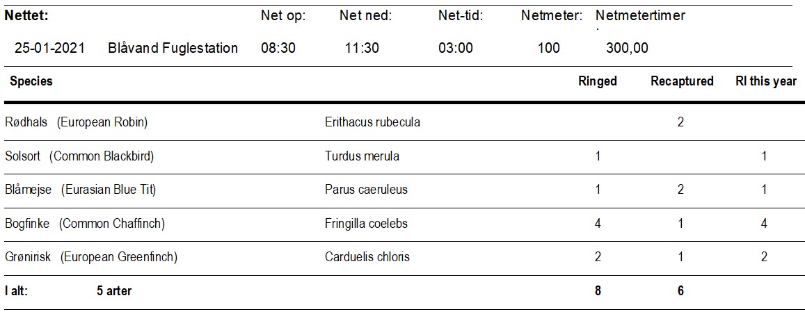 ringmaerkning_d._25.1.2021.jpg